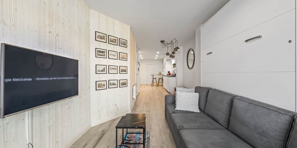 Woonkamer met televisie en uitklapbed