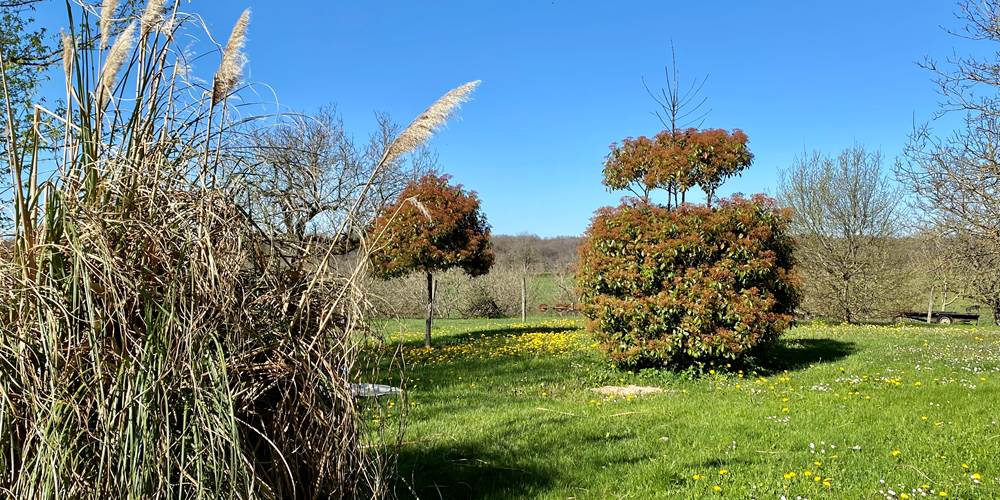 Parc en fleurs