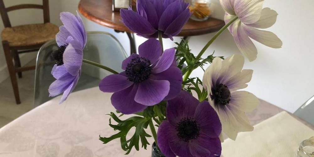 Chambre-d’hôtes-Sainte-Hélène-Gironde-Chambre familiale