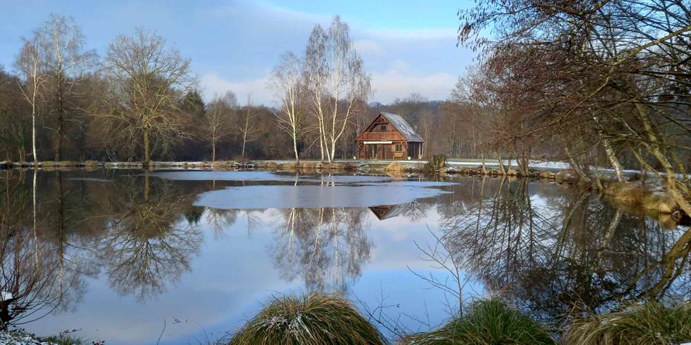 Un beau paysage d'hiver