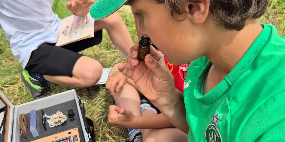 enquete game ferme des delices