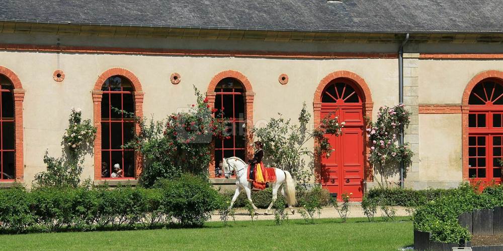 Haras National d'Hennebont
