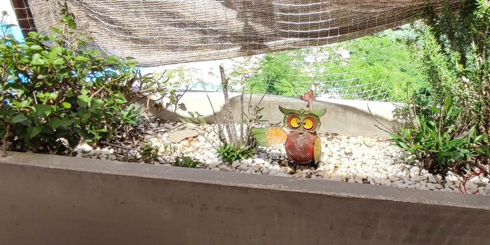 une chouette-terrasse 2
