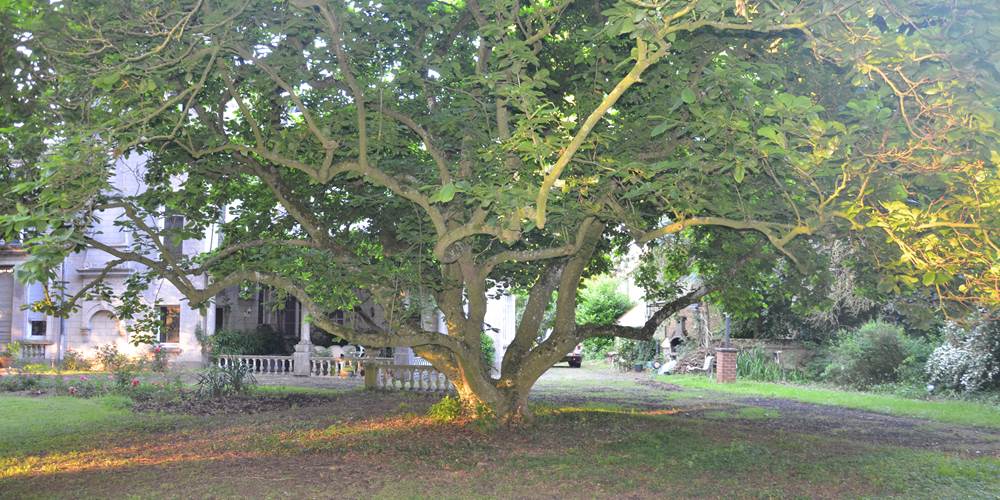 parc (41)