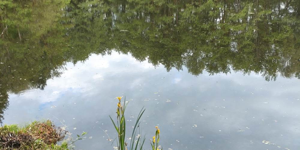 Etant privè à 7km du Moulin de Lavaugarde