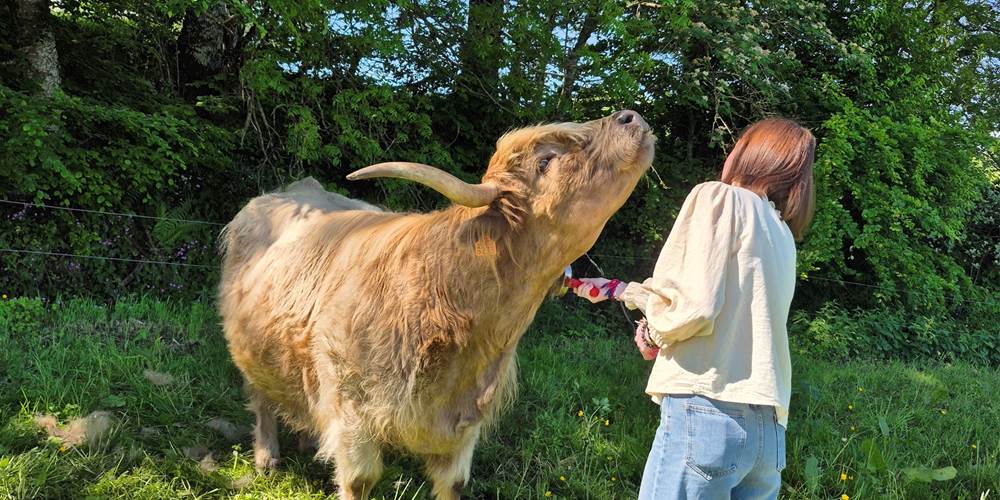 Brossage Mélia touriste