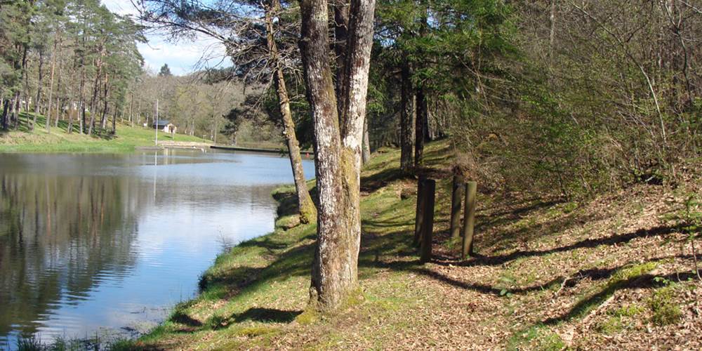 Parcours autour de l'étang