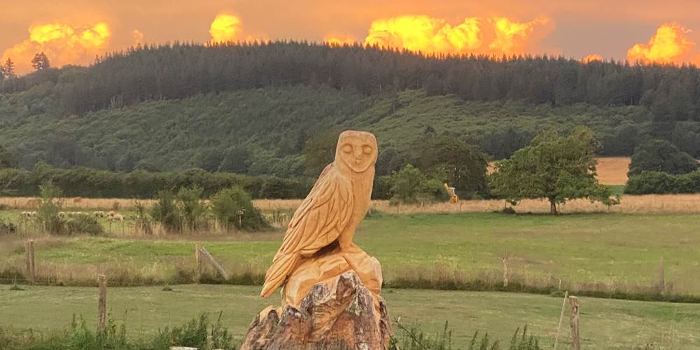 Les terres de la chouette, émerveillement devant la créativité de la nature