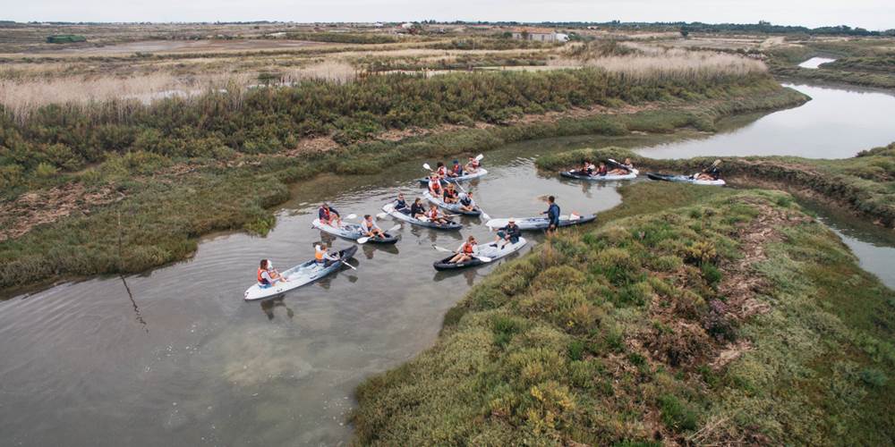 Balade en canoe - Ile de Ré