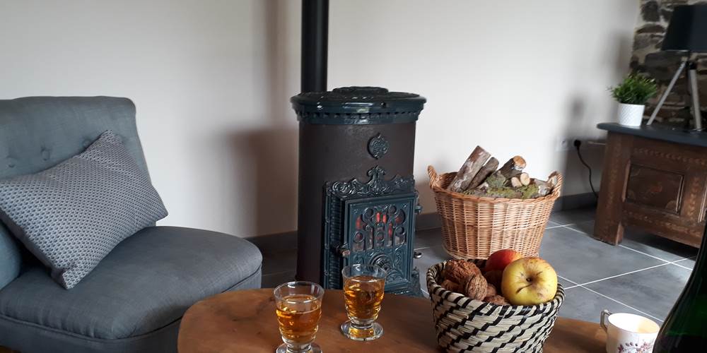 SALON AVEC POÊLE A BOIS