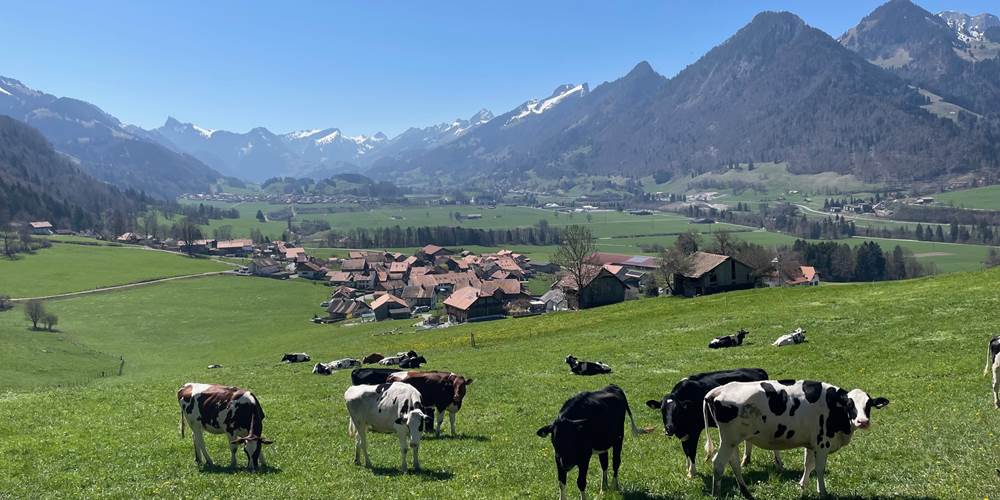 Vue au-dessus de la maison
