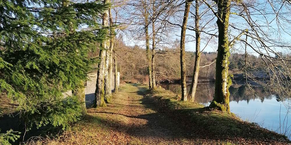 Randonnée dans les Monts du Limousin - Ferme de la Chevêche - Boucle des sauvages - Saint Sylvestre