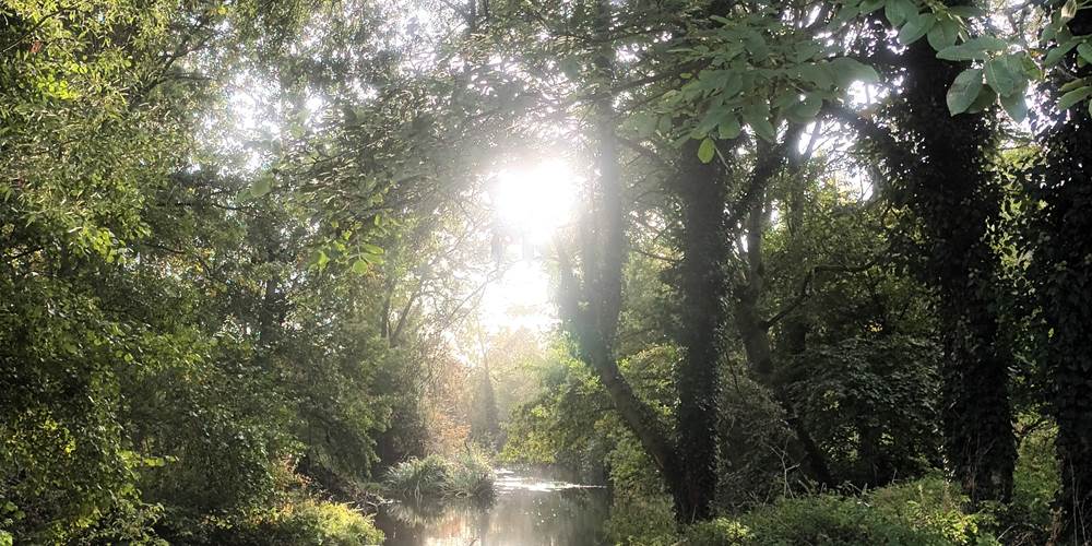 Promenade à proximité du gîte