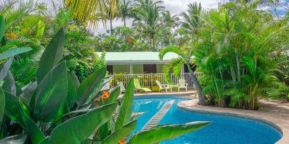 piscine-logement-baobab-et-palmier