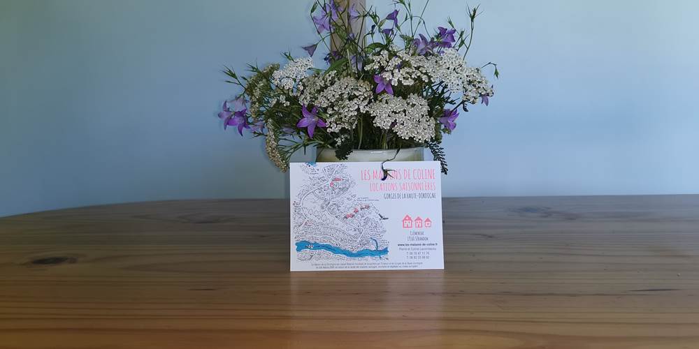 Bouquet champêtre "maisons de Coline"