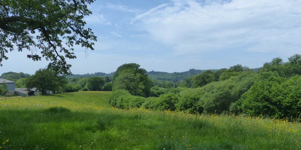Prairie de la ferme de la Chevêche