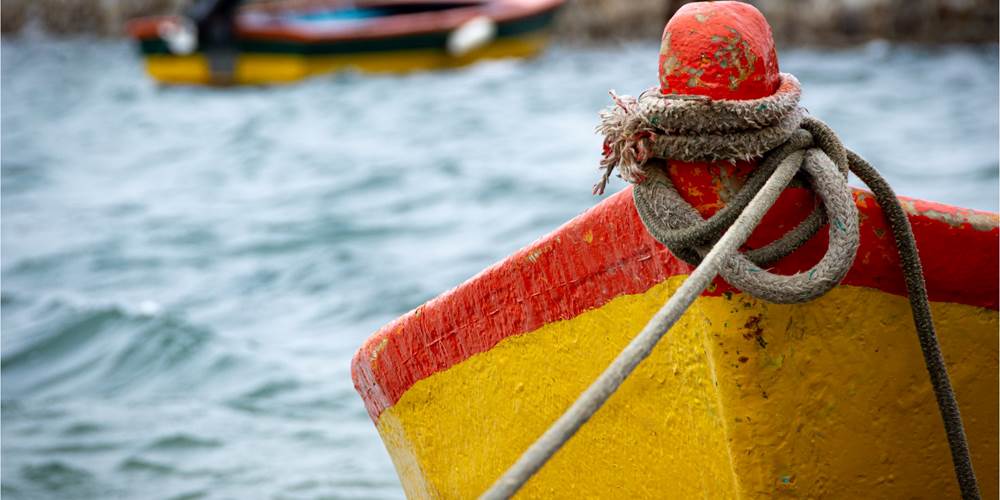 Les bateaux du Golfe