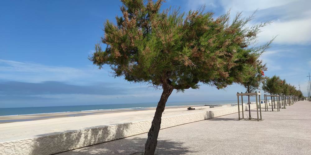 Promenade face à l'océan