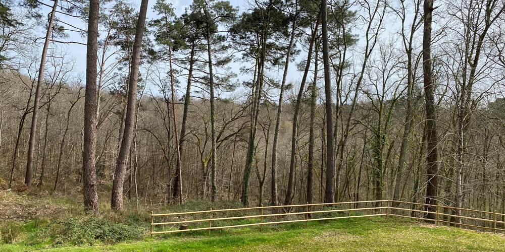 vue foret chambre jules