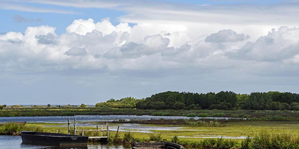 Les marais, la Brière