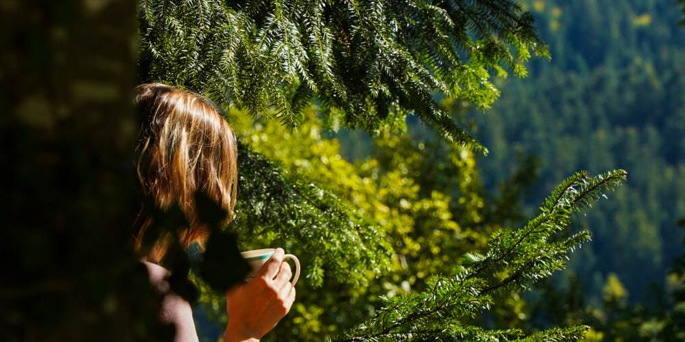 vue-nature-terrasse-cafe-gite-ocimes-la-bresse