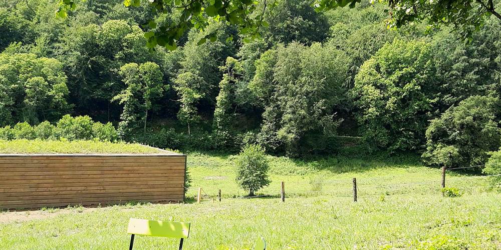 Hameau Les 3 châtaignes coin ombrage´