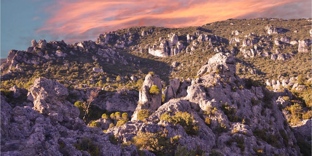 Le-rossignol-des-murailles-cirque-de-moureze