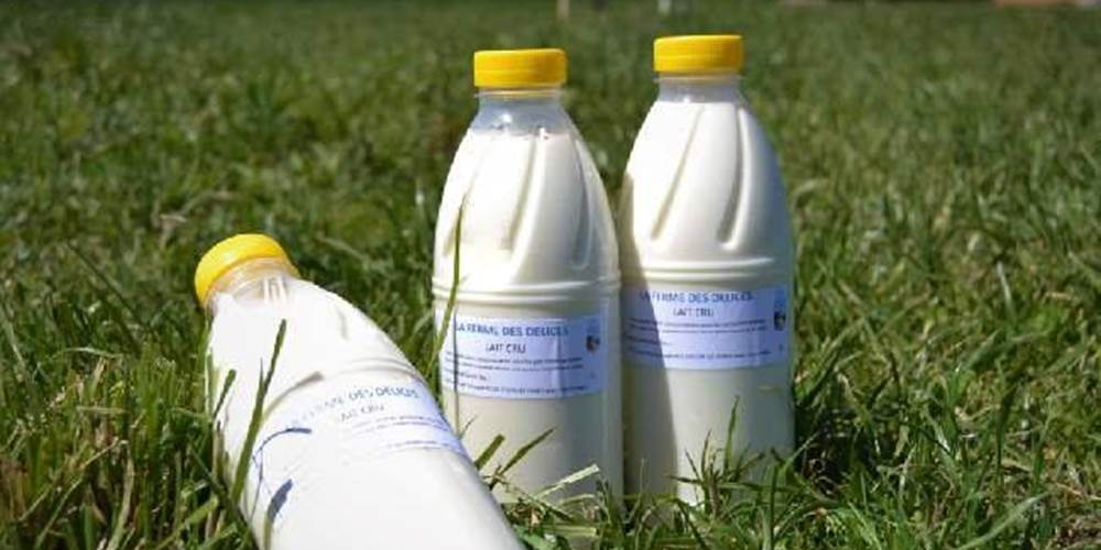 lait cru