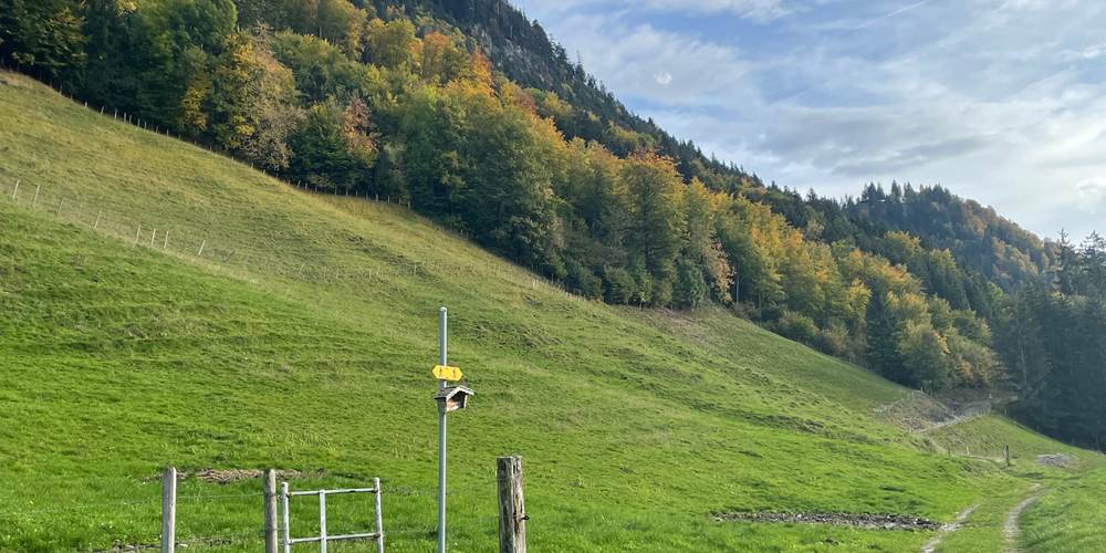 couleurs-automne-promenades-sentiers-montagne-suisse-gruyere-couple-weekend