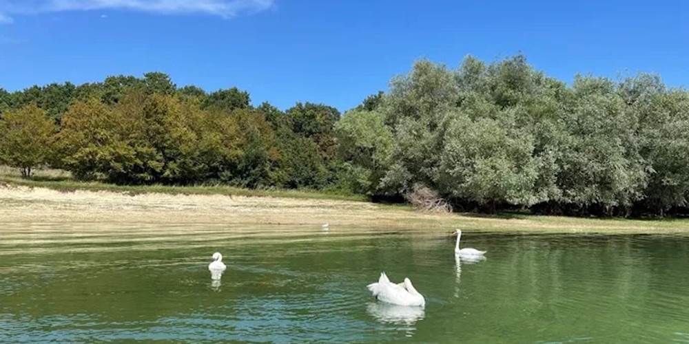 ile paisin au milieu du plan d'eau ,rencontre avec les signes