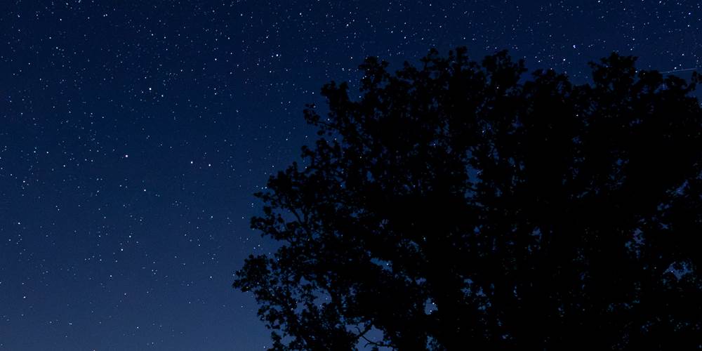 La nuit tombée, le Chêne et les Etoiles