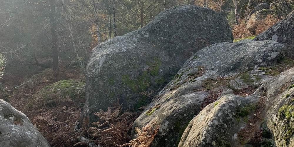 Fontainebleau boulders Apremont