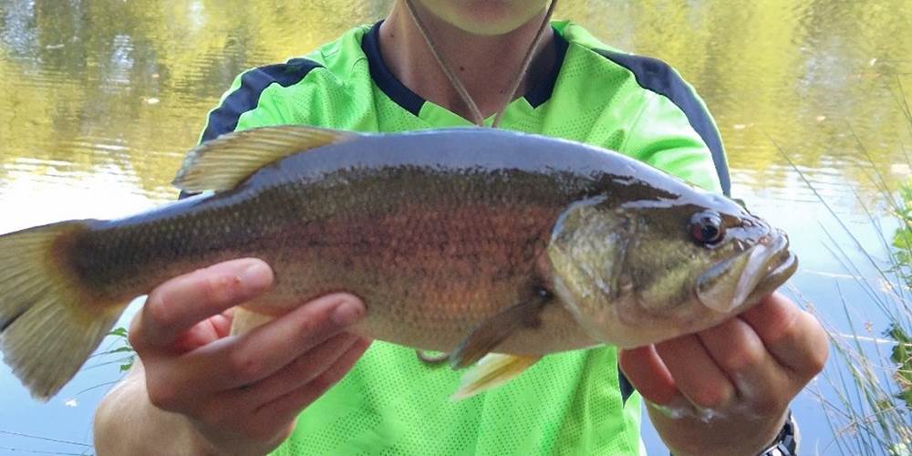 Etant privè à 7km du Moulin de Lavaugarde