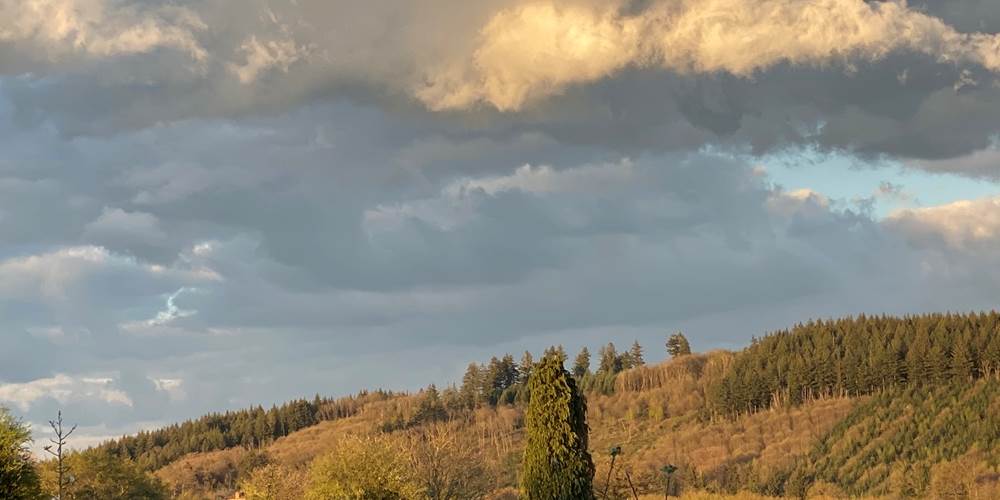 Les terres de la chouette, la roulotte au coeur d'une nature authentique