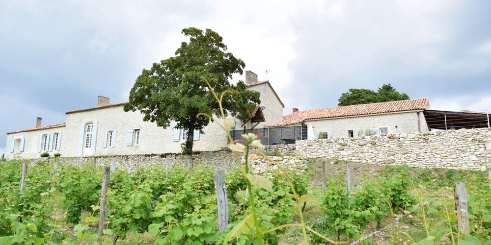 vue ouest