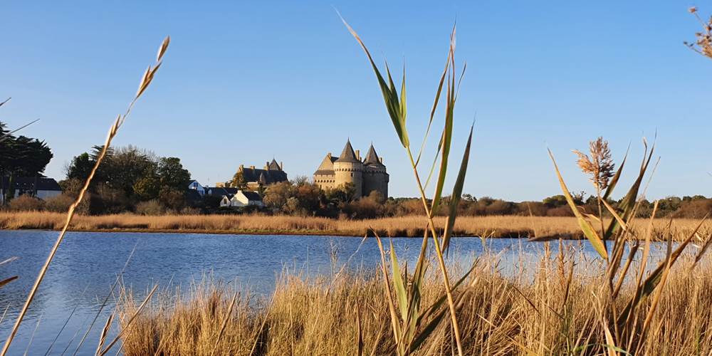 Chateau-Suscinio -Sarzeau