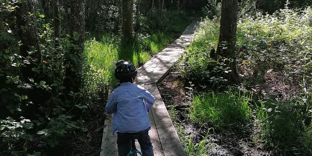 Le sentier découverte de l'étang de Jonas à Ambazac pour des sorties en famille - Gîte de la Chevêche