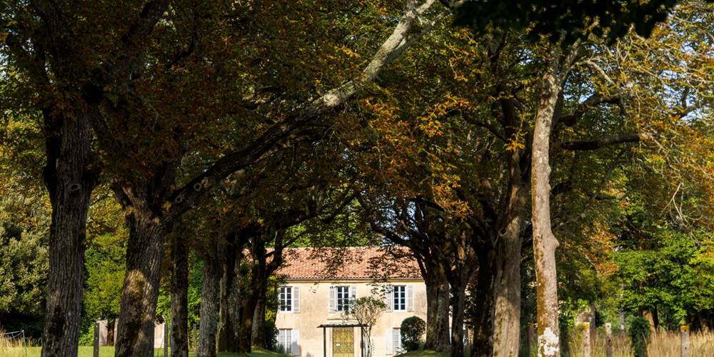 Au bout de l’allée, le château se dévoile