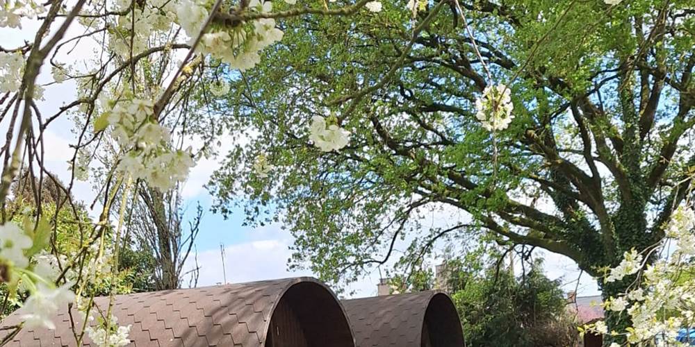 vue bungalows4