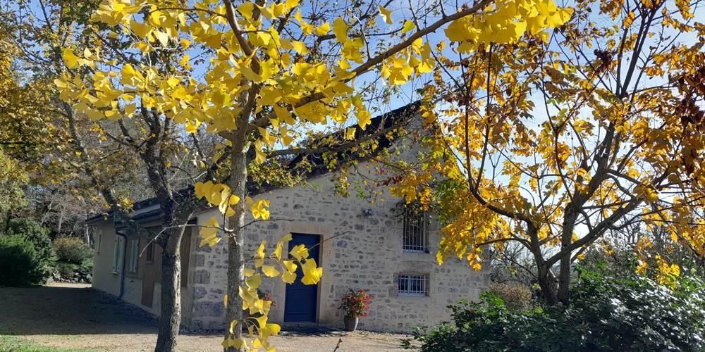 L'automne est arrivé: le ginkgo biloba éclaire notre gîte