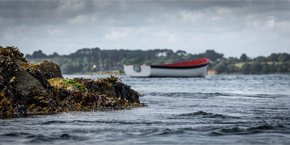 Berder une île autrement