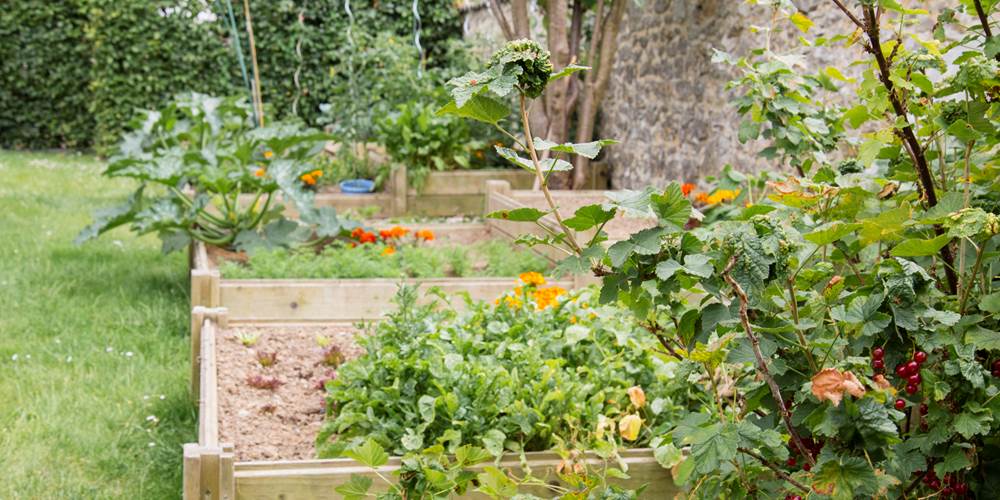 POTAGER