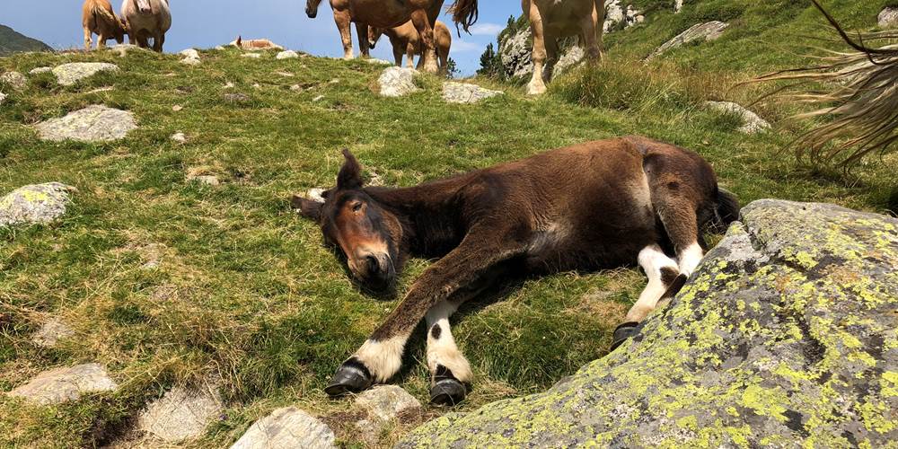 E689D516-A6AA-4239-8A3C-2CB05C17F959