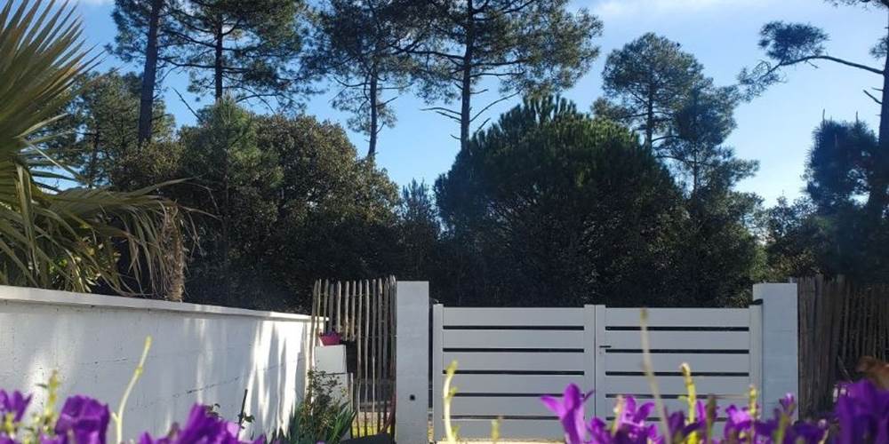 campanule-jardin-vueforetdepin