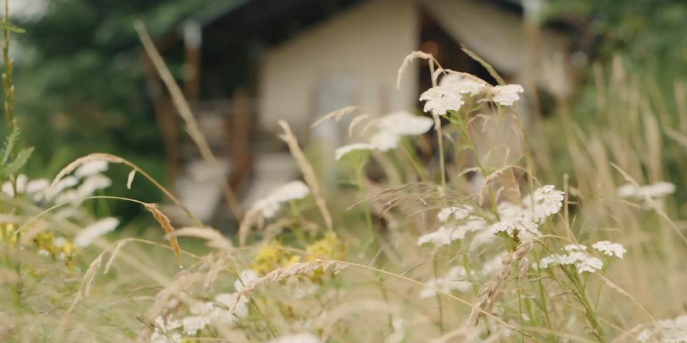 Le Ranch Camping - Tente safari