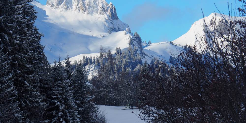 vue depuis la cuisine du chalet clémence