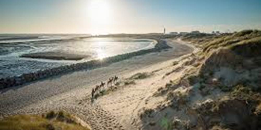Baie d'Authie - Baie des phoques - Location de vélos Berck -