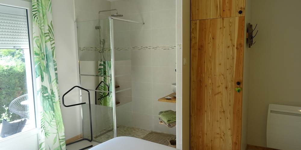 Douche et vasque dans la chambre