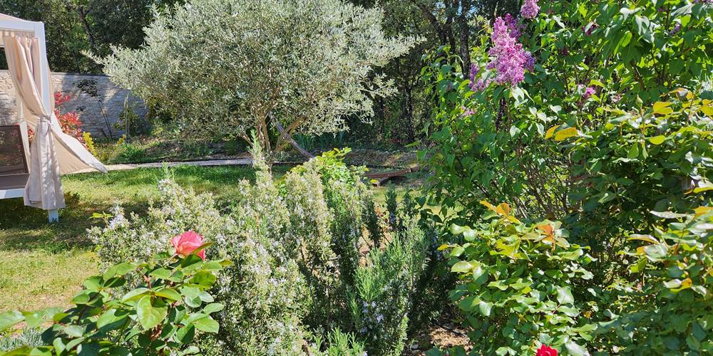 24 lilas et verdure