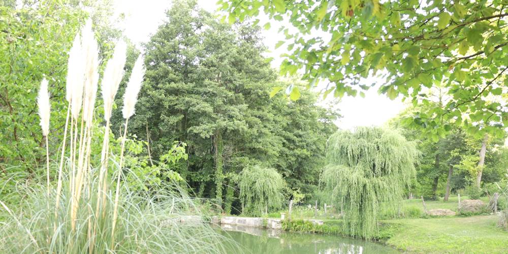 ETANG 2